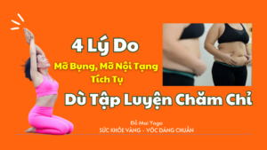 4 Lý Do Mỡ Bụng, Mỡ Nội Tạng Tích Tụ Dù Tập Luyện Chăm Chỉ