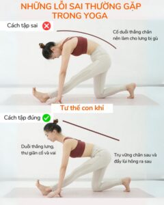 Những lỗi sai thường gặp trong một số tư thế yoga